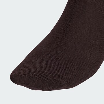 ADIDAS ORIGINALS - Calcetines en marrón
