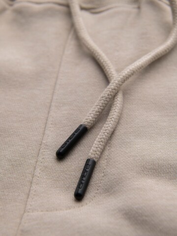 Ombre Tapered Pants in Beige