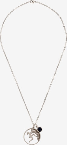 Gemshine Necklace in Silver: front