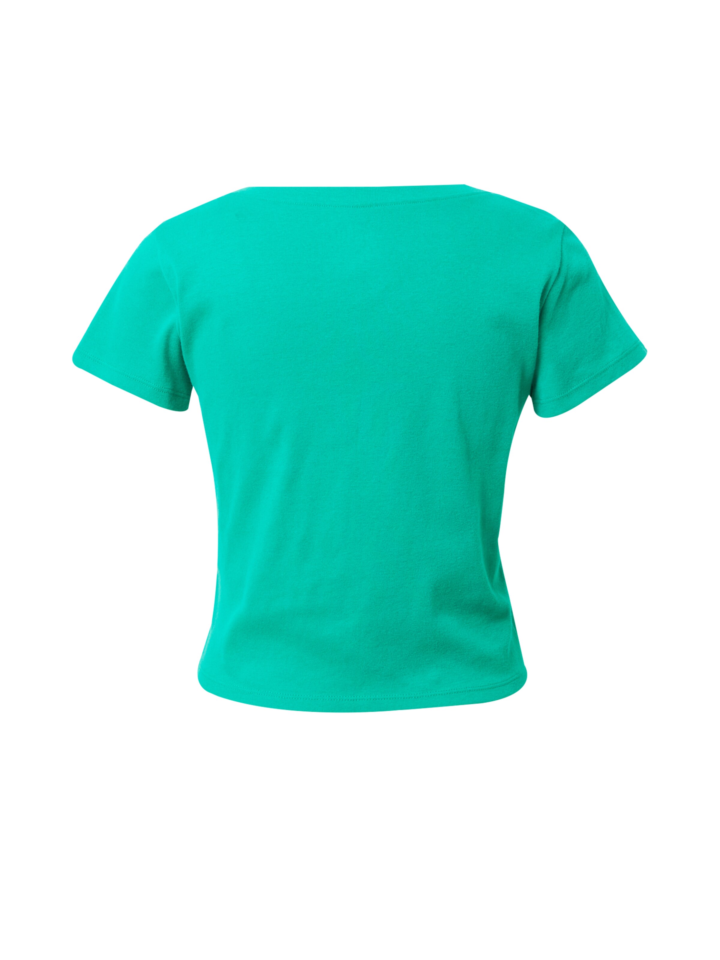 zaļš HOLLISTER T-Krekls