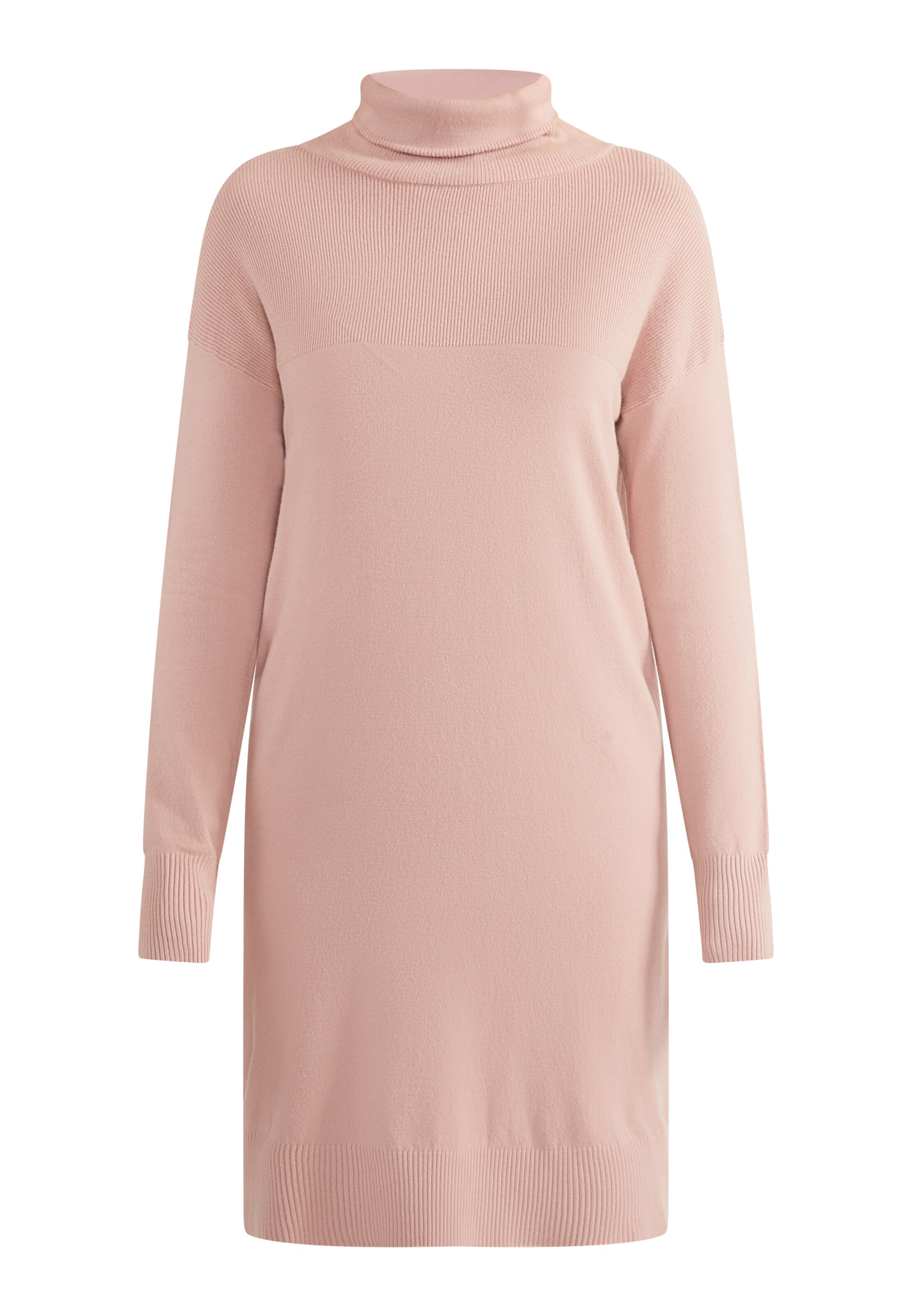 usha WHITE LABEL Kleid in Pink: Vorderseite