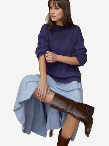 Hiccup Trui in Blauw