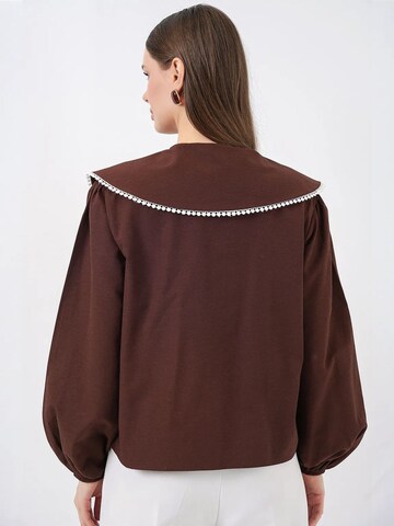 Bigdart Blouse in Brown