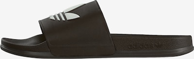 36,5-37 dydžio Šlepetės 'ADILETTE' iš ADIDAS ORIGINALS, spalva – tamsiai ruda / balta, Prekių apžvalga