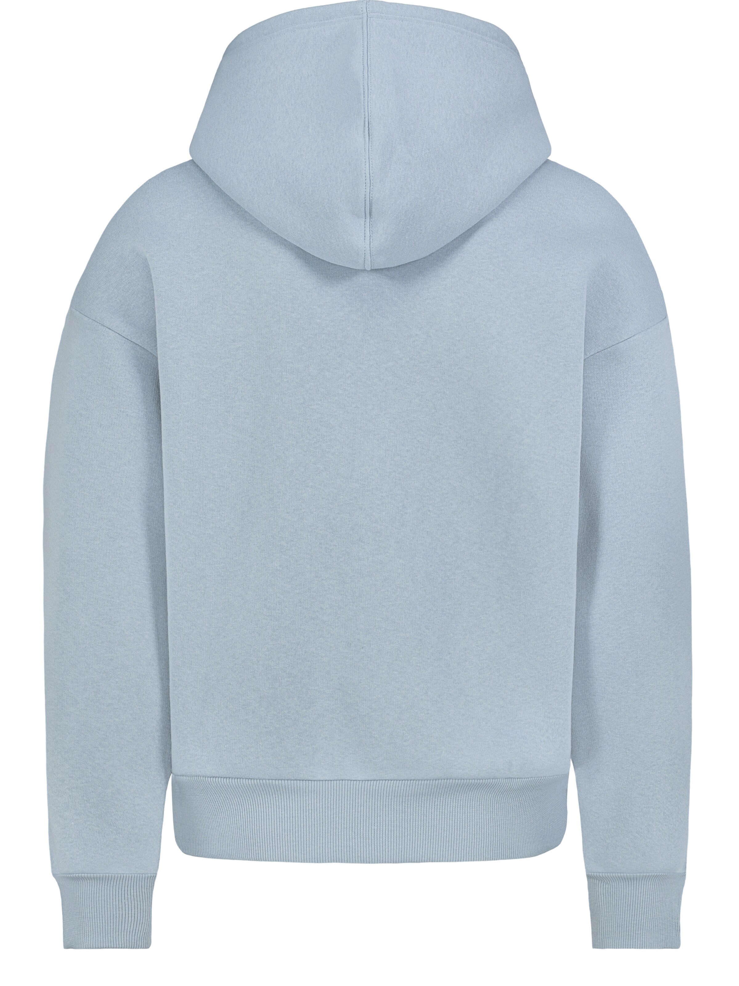 Sublevel Sweatshirt in Blue