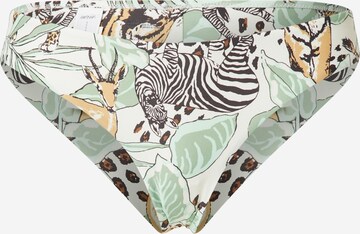 AERIE Bikinibroek in Gemengde kleuren: voorkant