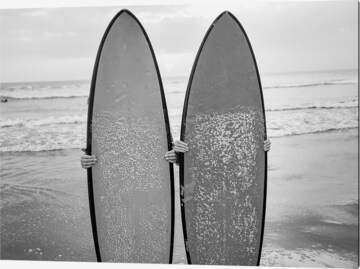 Liv Corday Bild  'Behind the Surfboards' in Grau: predná strana