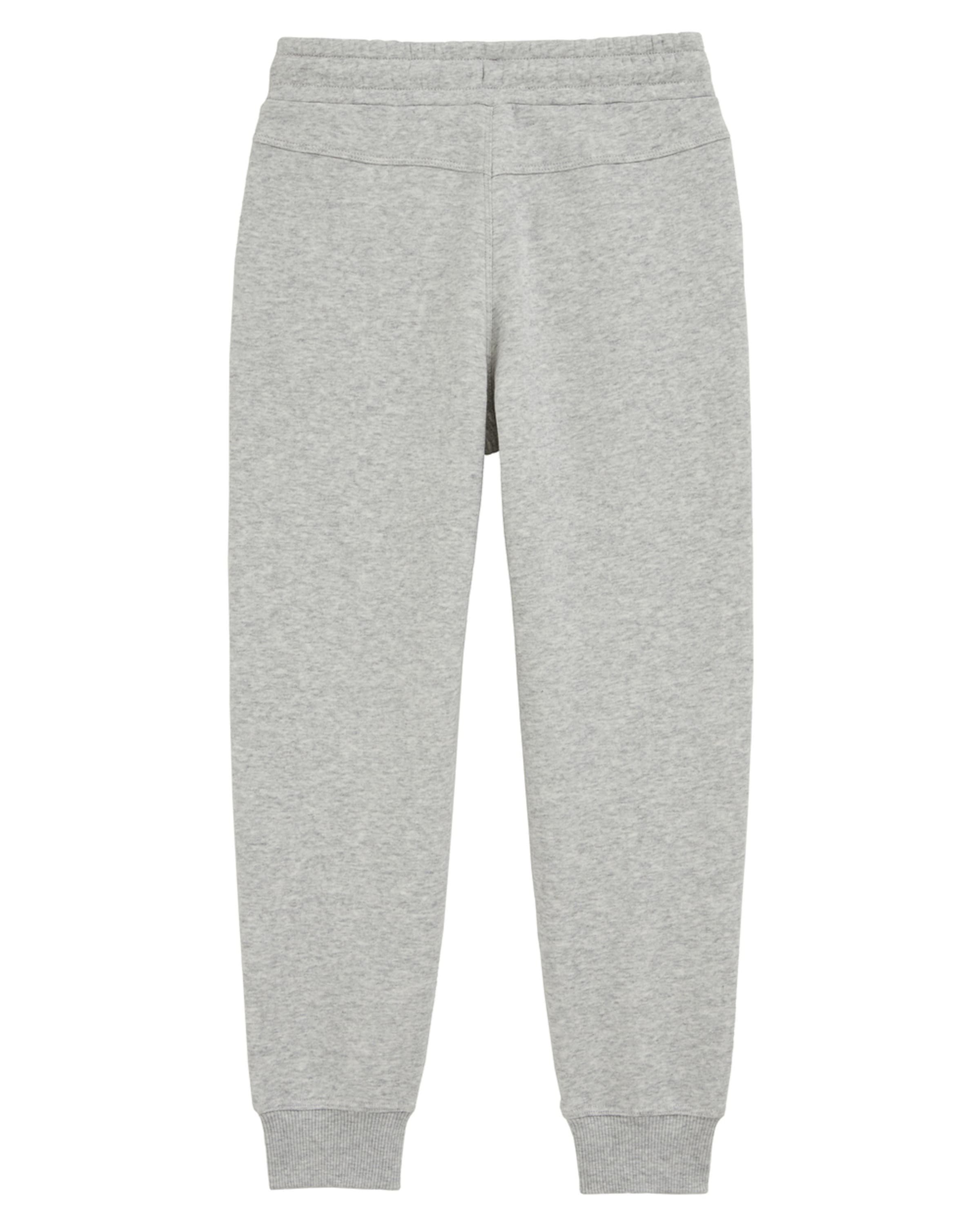 Effilé Pantalon WE Fashion en gris