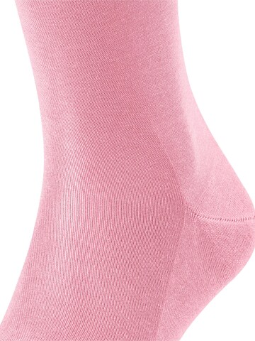 FALKE Knee High Socks 'Tiago' in Pink
