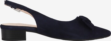 PETER KAISER Slingback Pumps in Blue