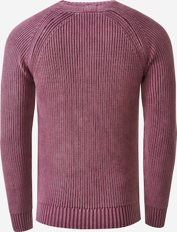 Rusty Neal Sweater in Pink