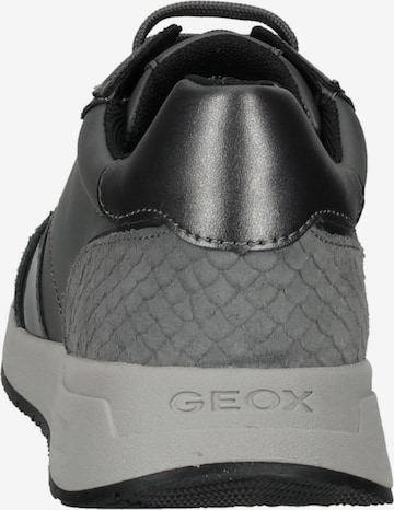 Baskets basses GEOX en gris
