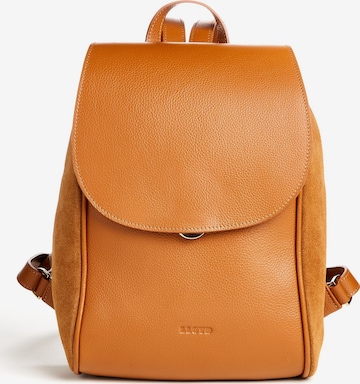 LLOYD Backpack in Brown: front