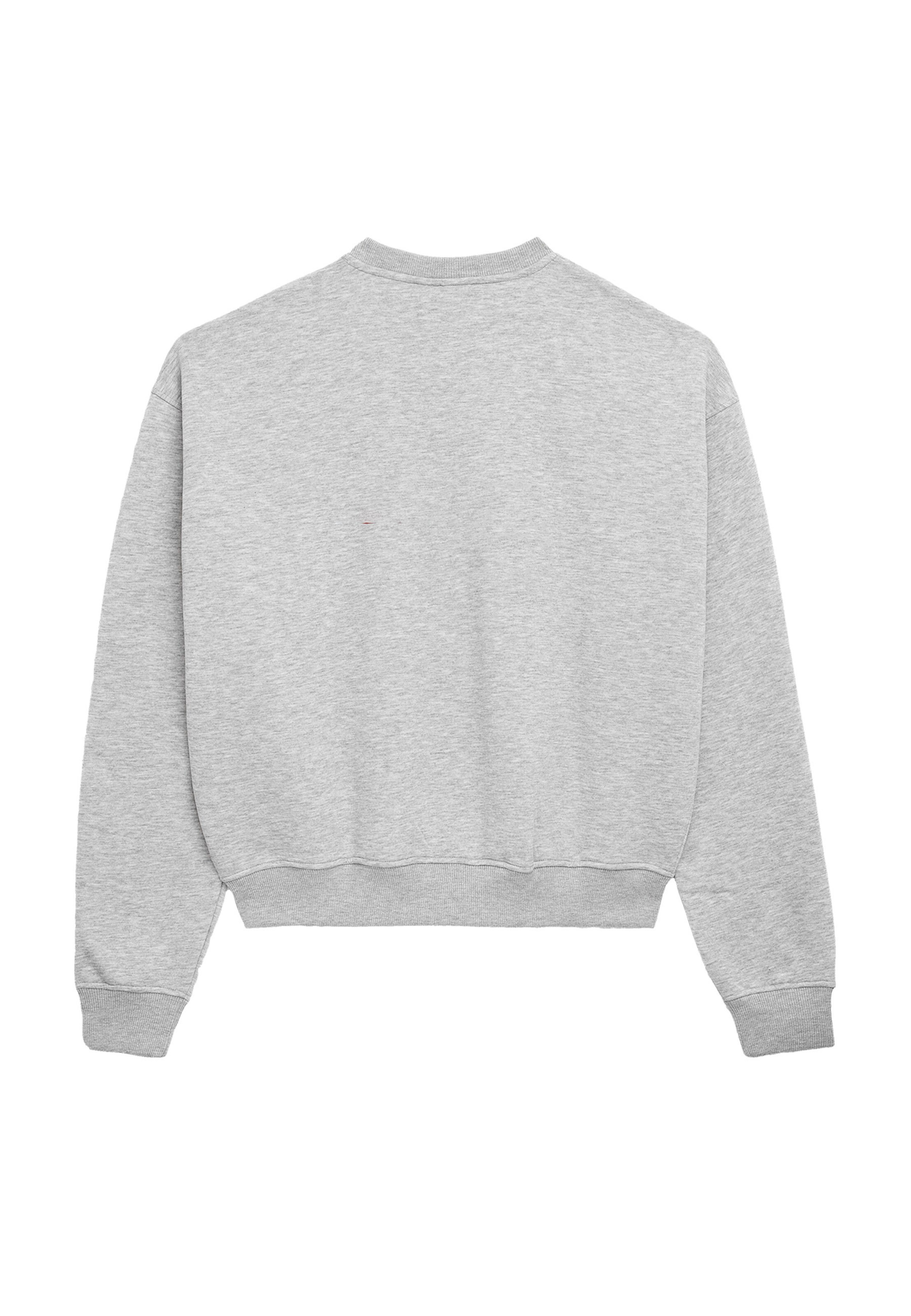 Prohibited Sweatshirt 'Berlin' in Grey