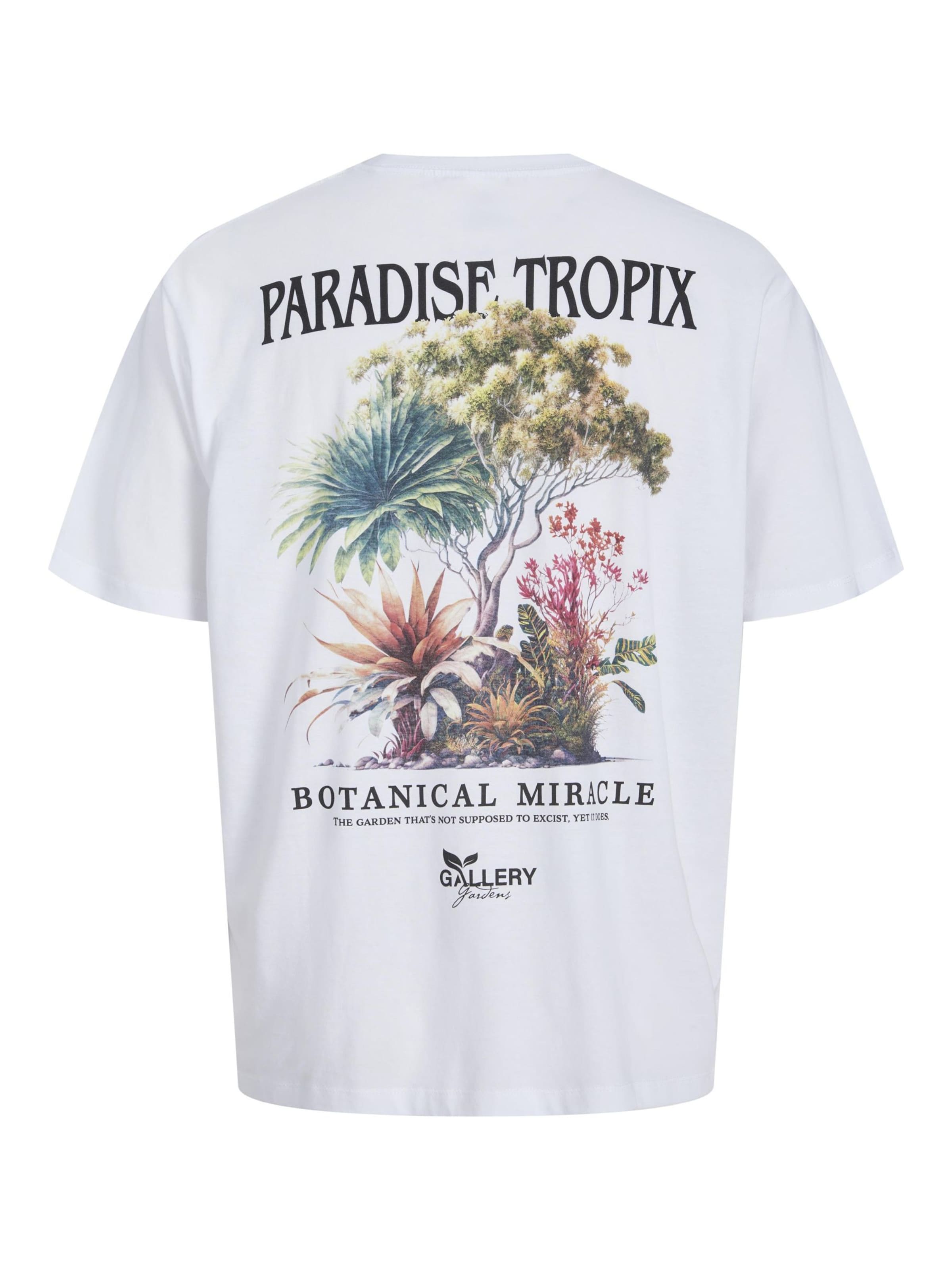 JACK & JONES Μπλουζάκι 'JORBOTANIQ' σε λευκό