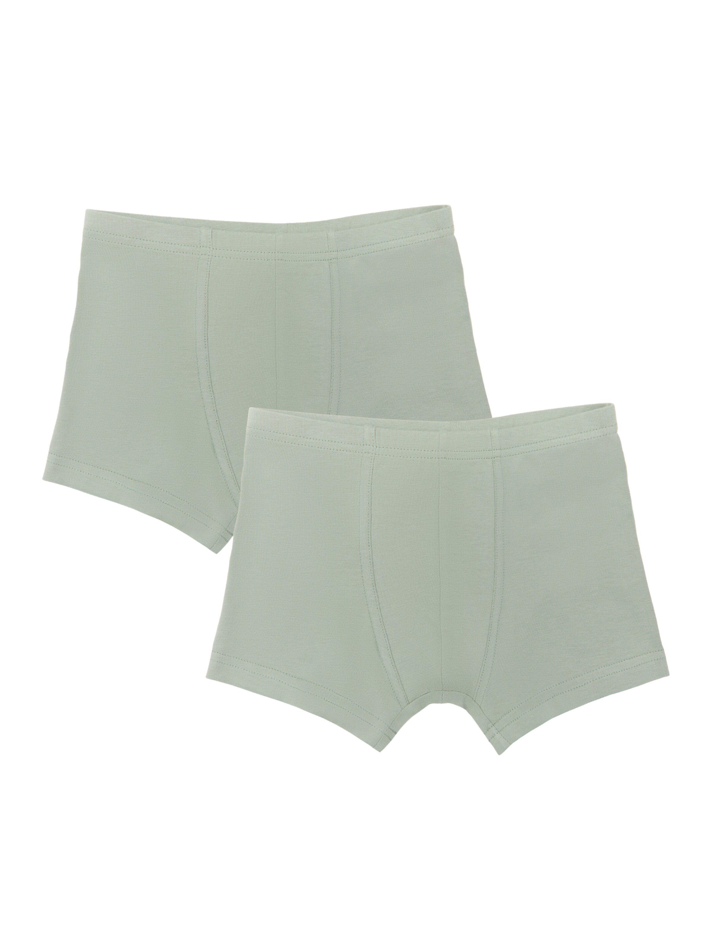 Albero Natur Unterhose‌ in Grau: Vorderseite