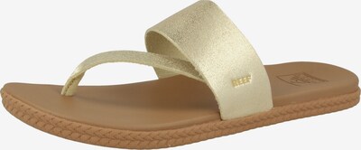 REEF Strand-/Badeschuh ' Cushion Bounce Sol ' in hellbraun / gold, Produktansicht