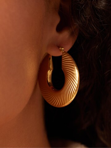 Lucardi Earrings in Gold: front