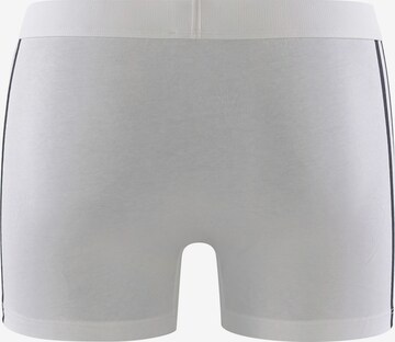 ADIDAS SPORTSWEAR Trunk ' BASIC ' in Mischfarben