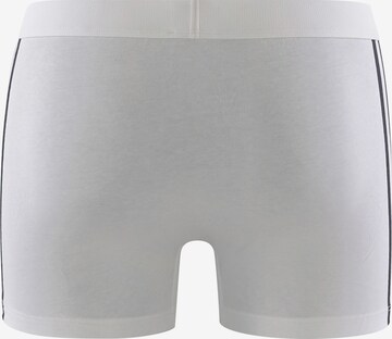 ADIDAS SPORTSWEAR Sports underpants ' BASIC ' in Mixed colours