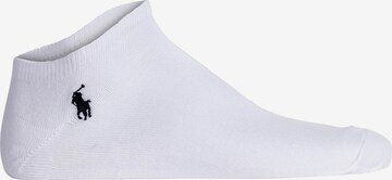 Polo Ralph Lauren Skarpety w kolorze biały