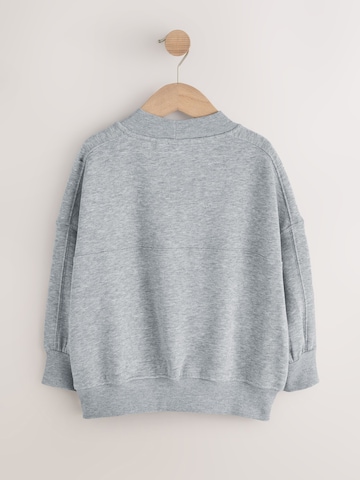 Next Sweatshirt in Grau