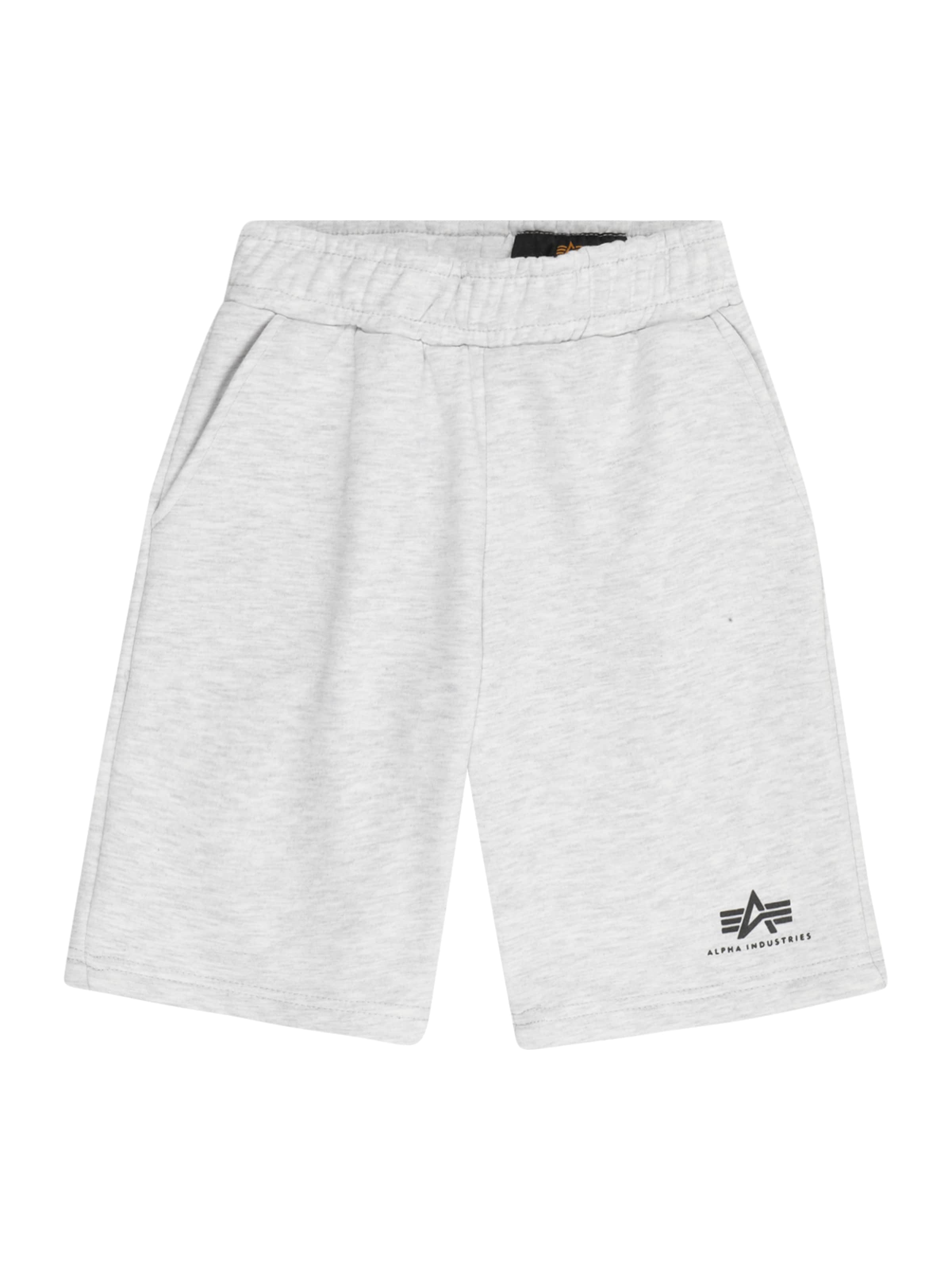 Regular Pantalon ALPHA INDUSTRIES en gris : devant