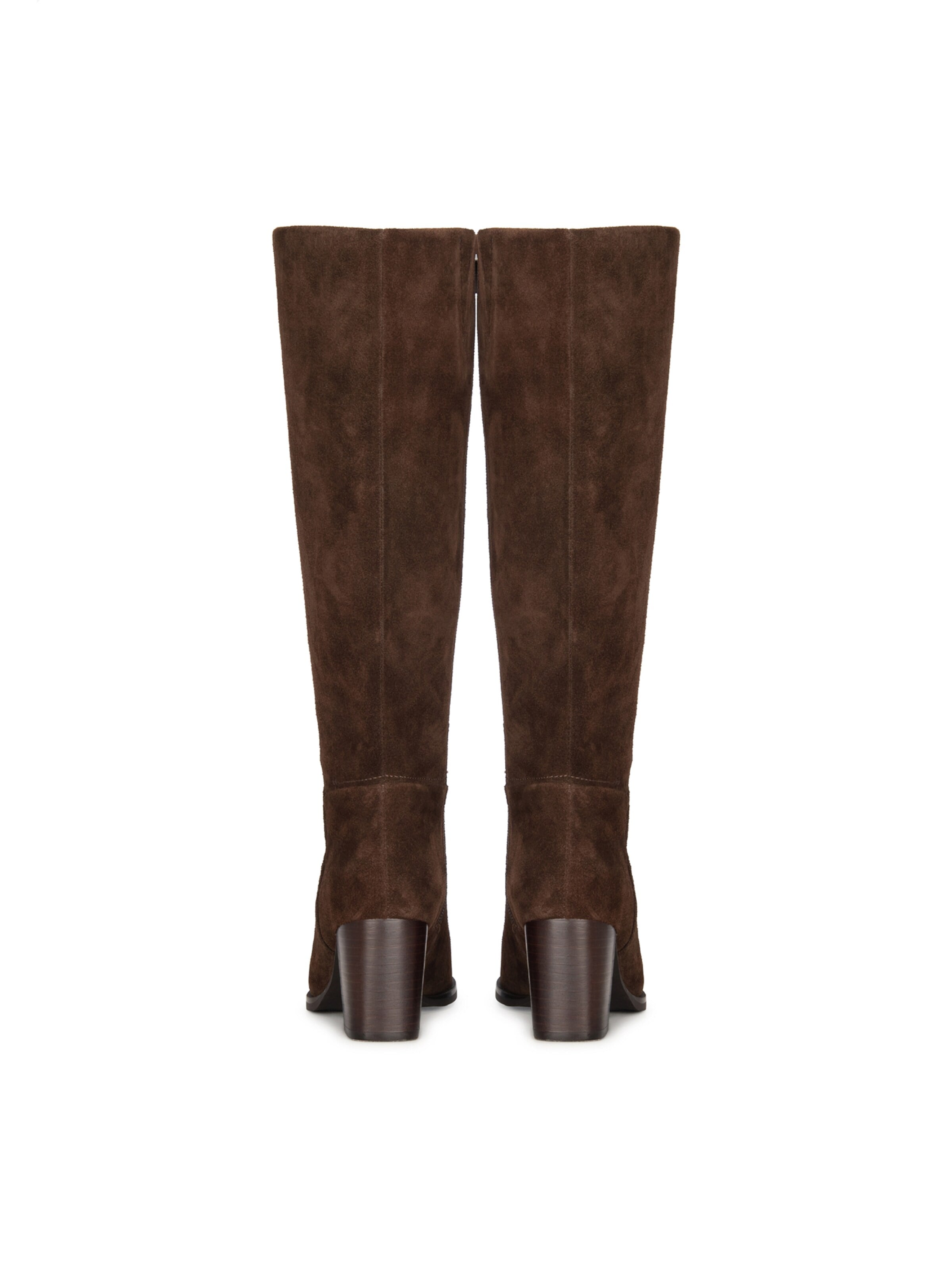 Poelman Boots in Brown