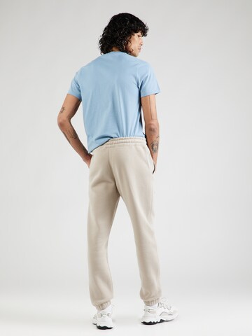 Tapered Pantaloni de la HOLLISTER pe maro