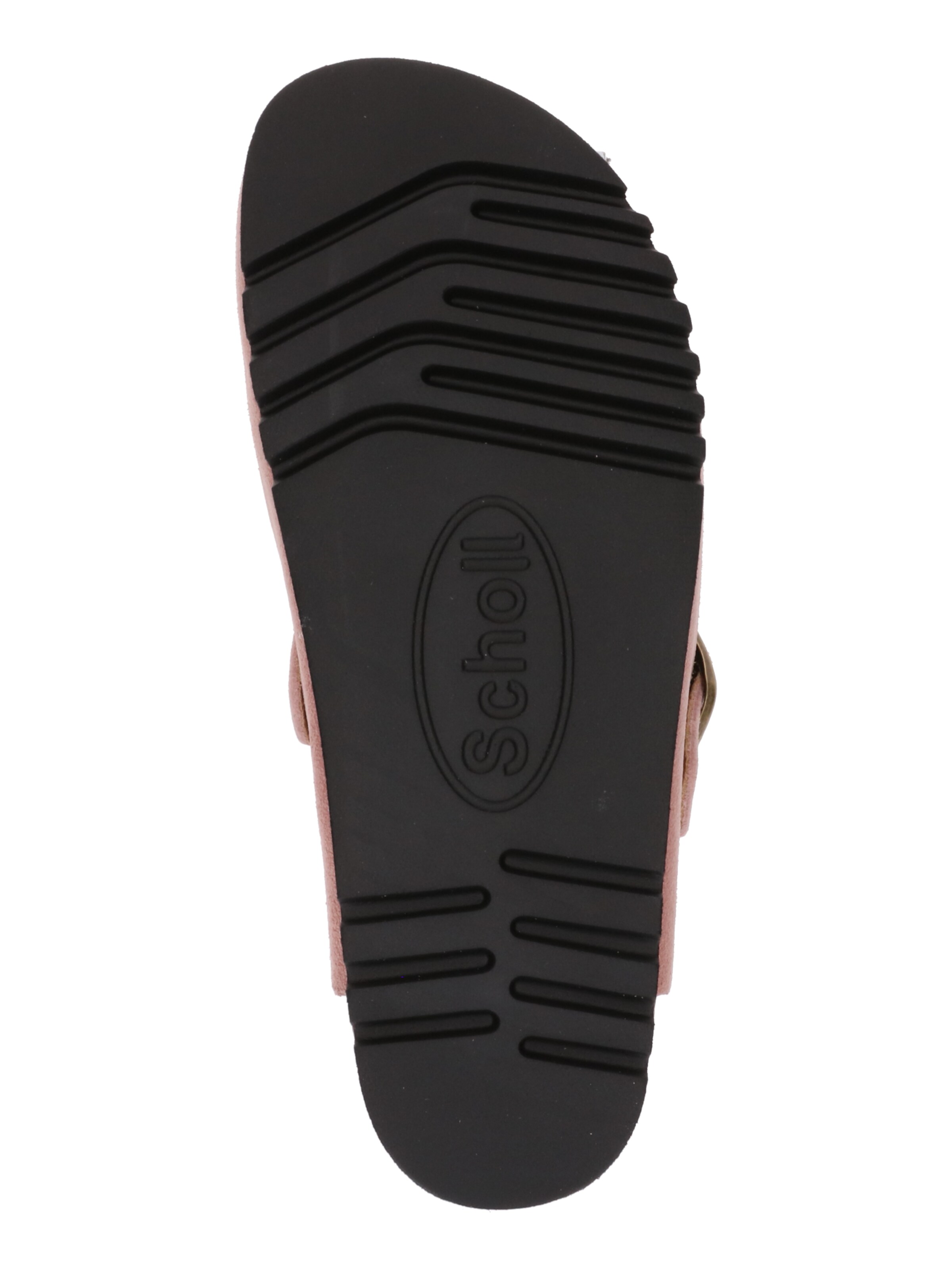 rožinė SCHOLL Klumpės 'FAE'