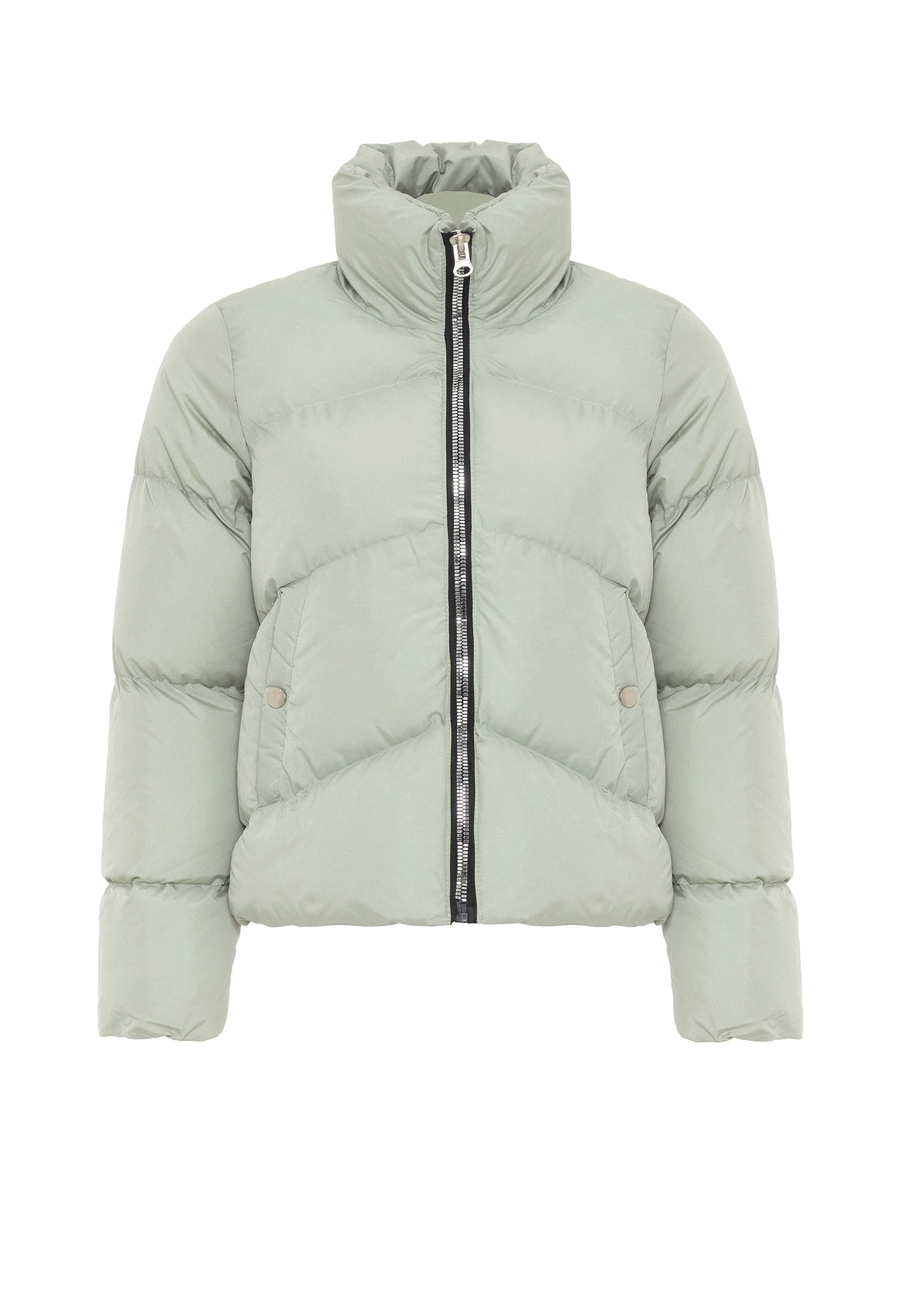 Jimmy Sanders Winter jacket in Green: front