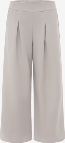 Zwillingsherz Pleat-Front Pants in Grey: front