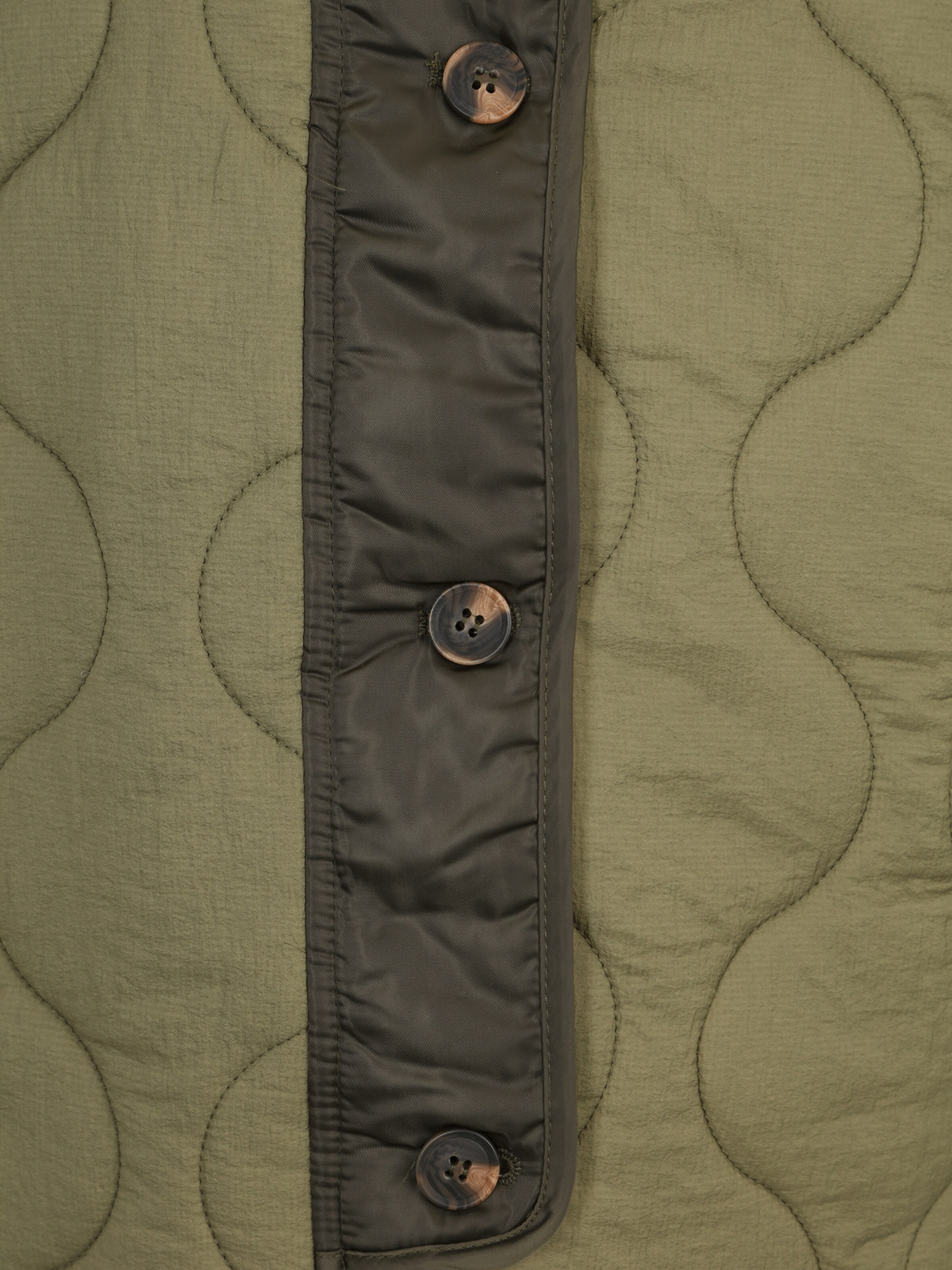 Dorothy Perkins Petite Kevad-sügisjope, värv roheline