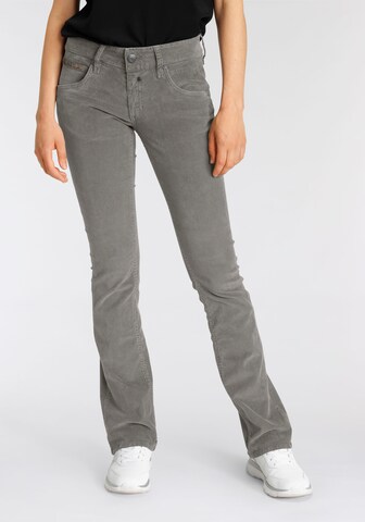 Herrlicher Bootcut Jeans in Grau