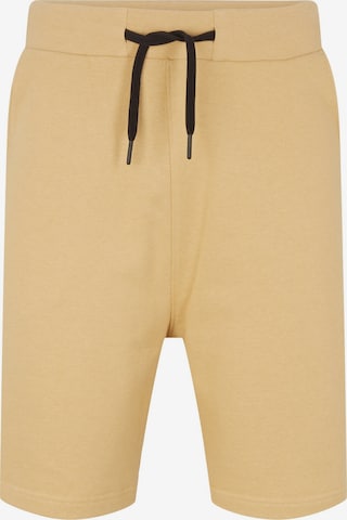 TOM TAILOR DENIM Shorts in Braun: predná strana