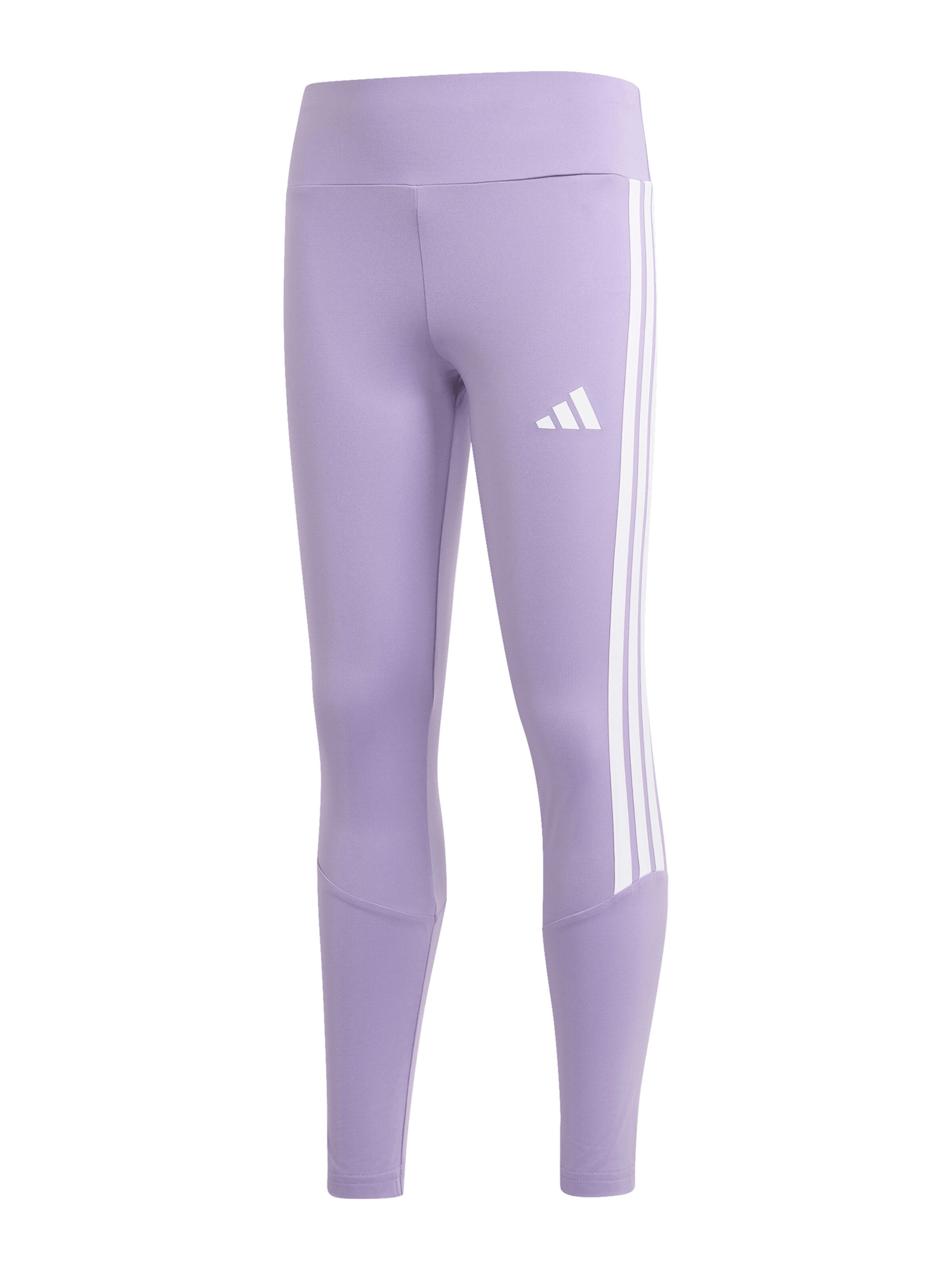 ADIDAS SPORTSWEAR Workout Pants 'Train Essentials' in Purple: front