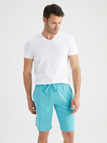 DeFacto Pants in Blue: front