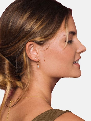fejn Earrings 'Pearl Hoop' in Gold