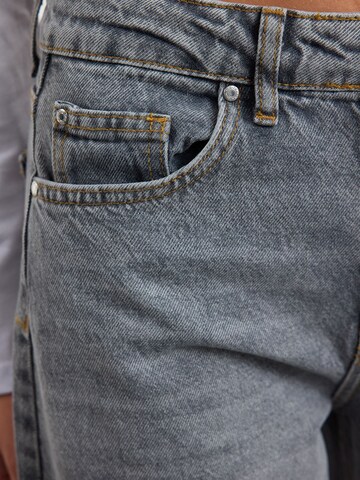 Trendyol - Ropa ancha Vaquero en gris
