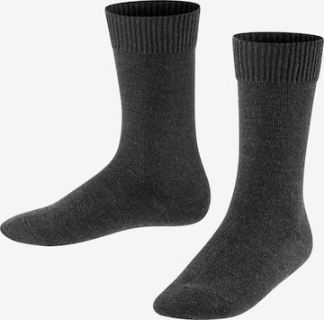 FALKE Socks 'Comfort Wool' in Grey: front