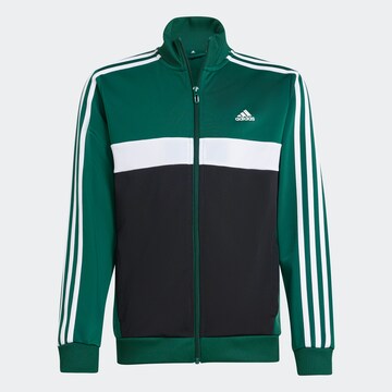 ADIDAS PERFORMANCE Trainingsanzug in Schwarz