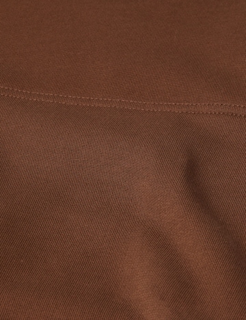 MAMMUT Sweatshirt in Braun