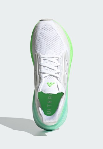 Chaussure de course 'Ultraboost 5x' ADIDAS PERFORMANCE en blanc
