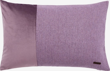 ESPRIT Pillow in Purple: front