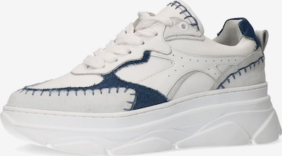 SACHA Sneaker in royalblau / weiß, Produktansicht