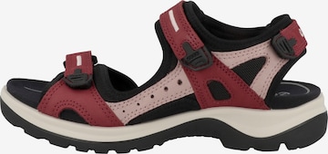 ECCO Hiking Sandals 'Offroad' in Red