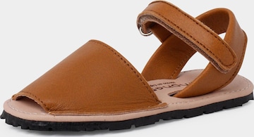 Pisamonas Sandals in Brown: front