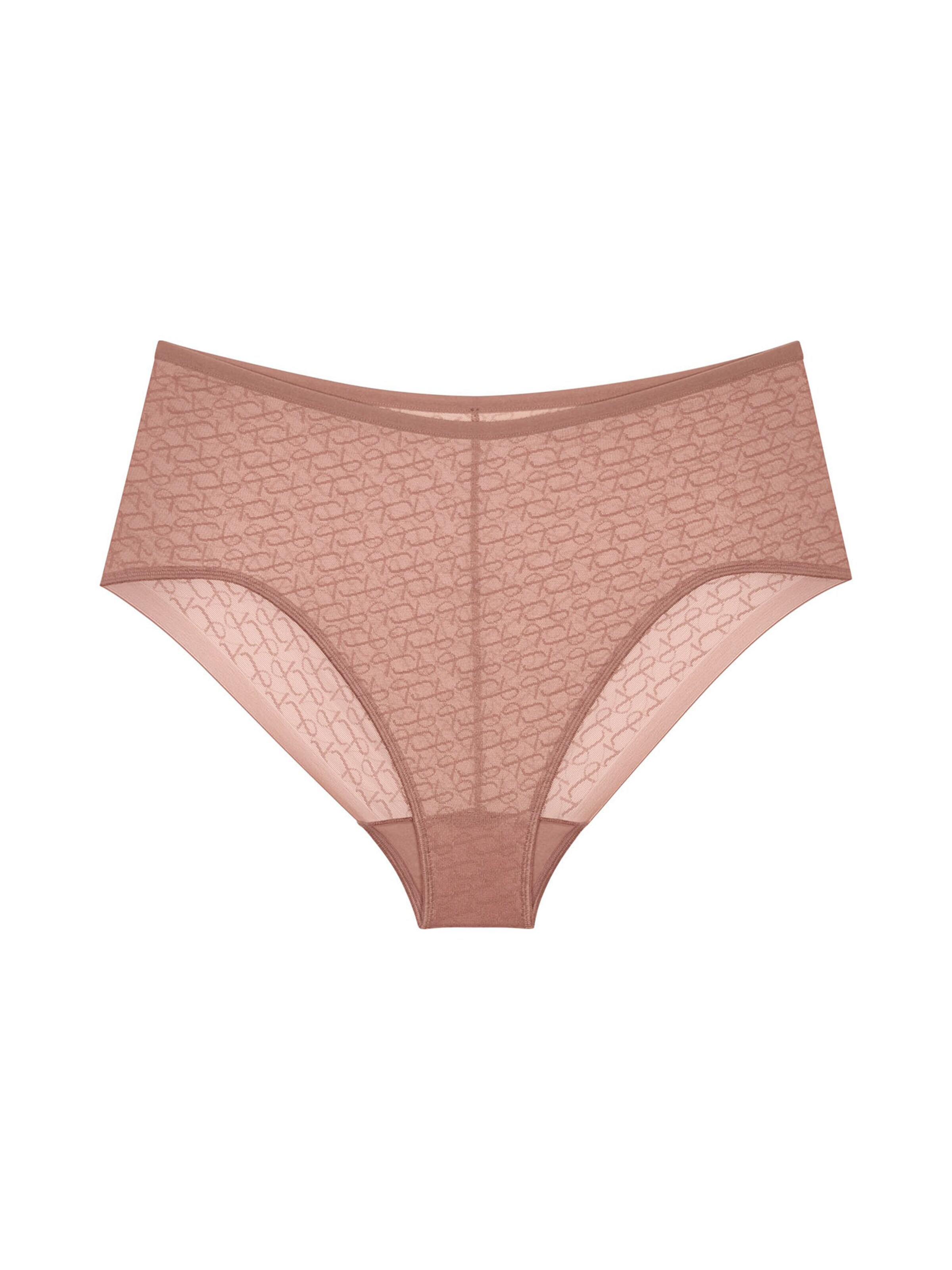 TRIUMPH Maxislip ' Red Label Triumph Signature Sheer ' in Beige: Vorderseite