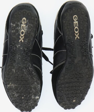 GEOX Lowtop Sneakers 38 in Schwarz