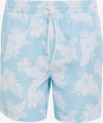 Threadbare Board Shorts 'Sunset' in Blue: front